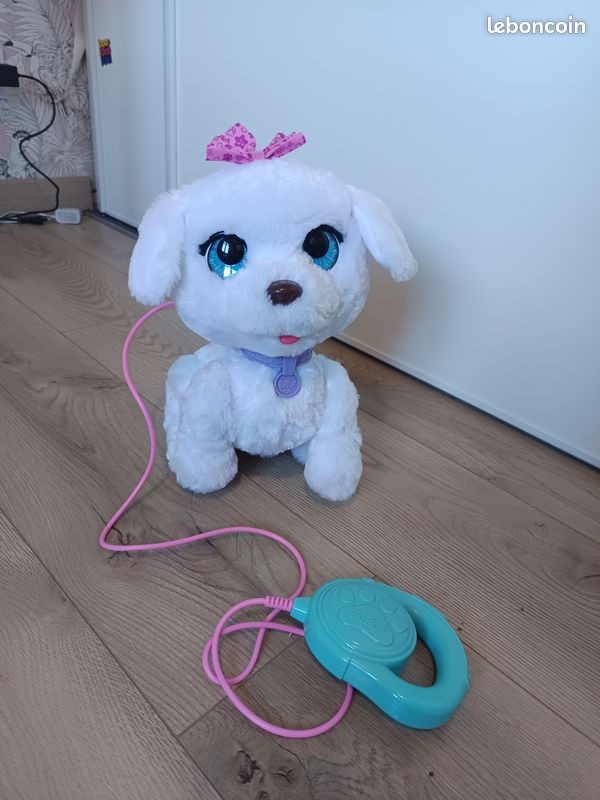 Chien qui marche (image 1)