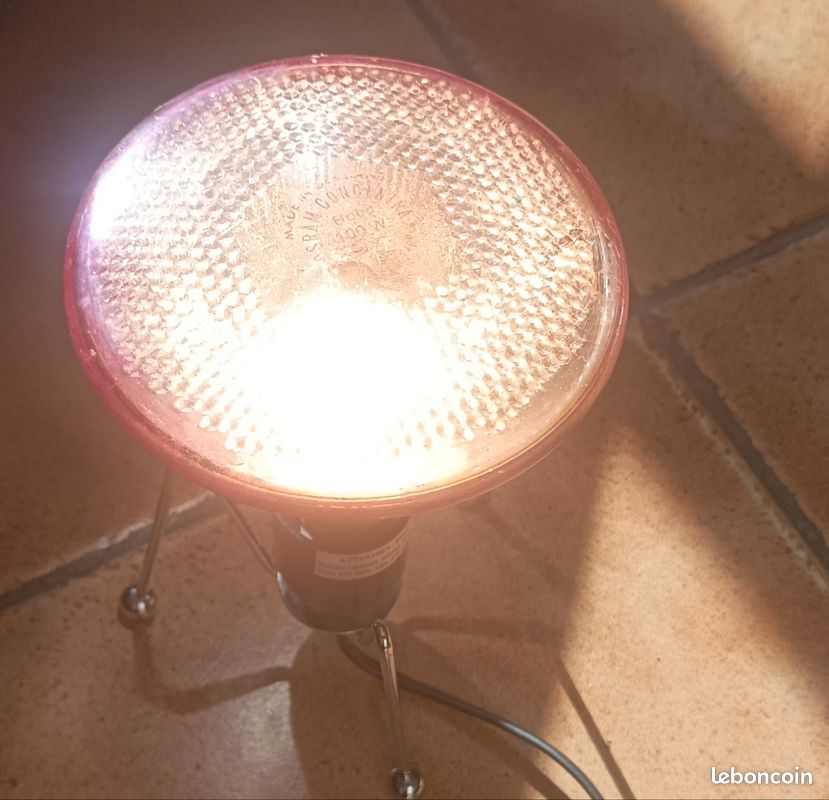 Ampoule Pour Retroprojecteur Osram 36V.15 - Maison