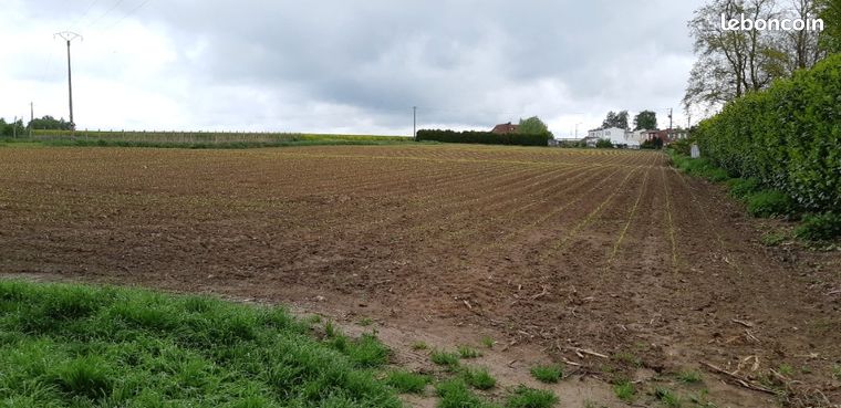 Terrain 510 m² Saint Hilaire Lez Cambrai