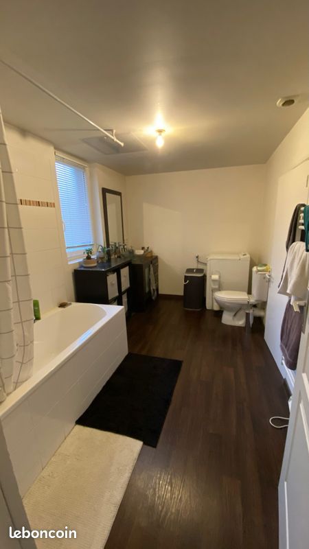 Appartement studio - Tulle 19000 (image 3)