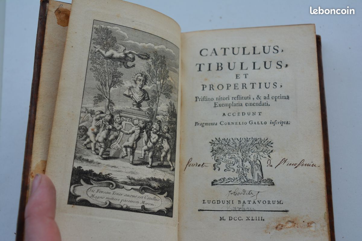 Bibliophilie - Catullus Tibullus et Propertius... Lugduni Batavorum - 1743 (image 5)