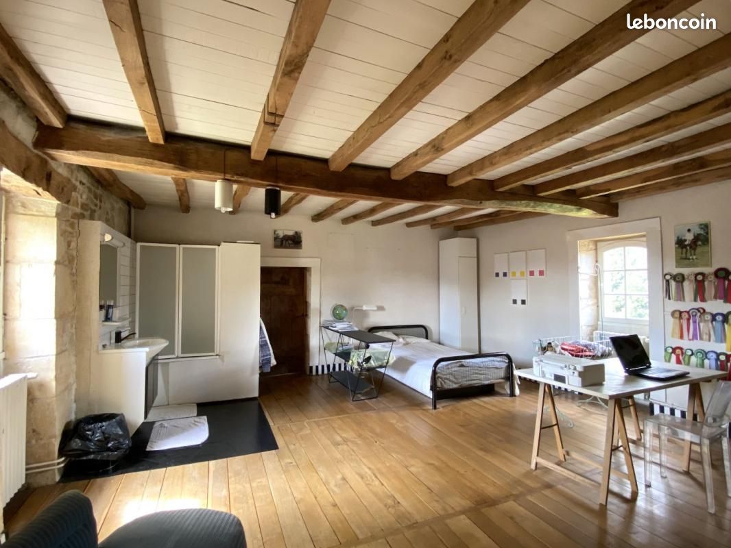 Maison 7 pièces 230 m² - Val-de-Bonnieure 16230 Saint-Angeau (image principale 16)