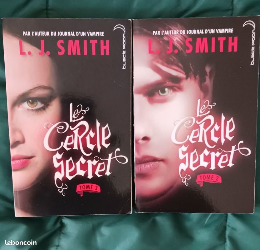 3 livres de L J Smith (image 4)