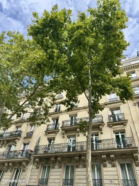 Appartement 5 pièces 118 m² · à Paris · 118 m² · 4 162 €/mois