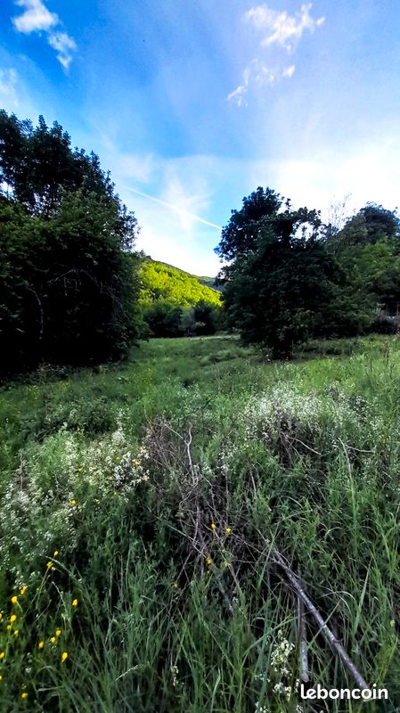 Terrain constructible 4400m2 · à Saumane · 80 000 €