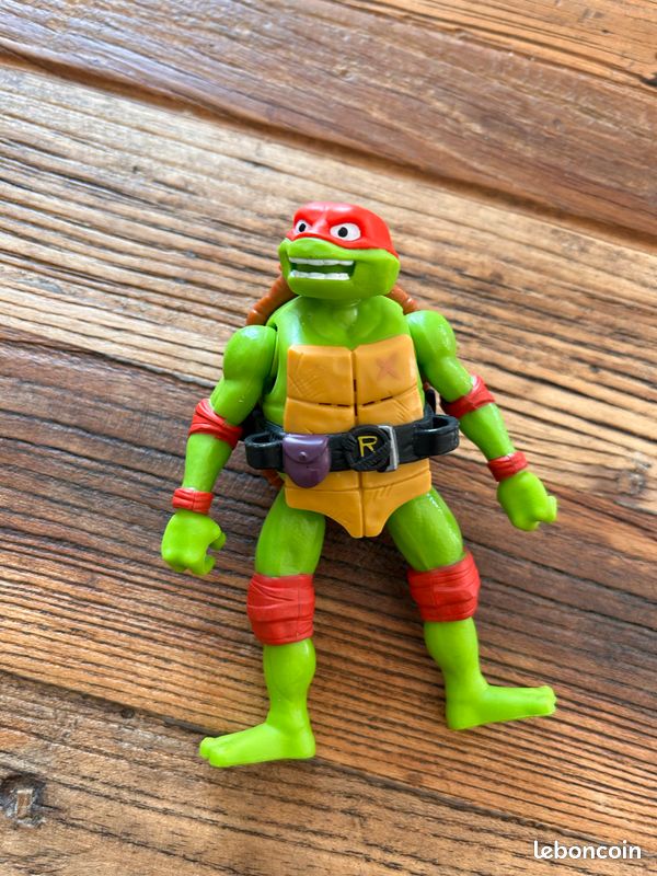 Tortue nidja (image 1)