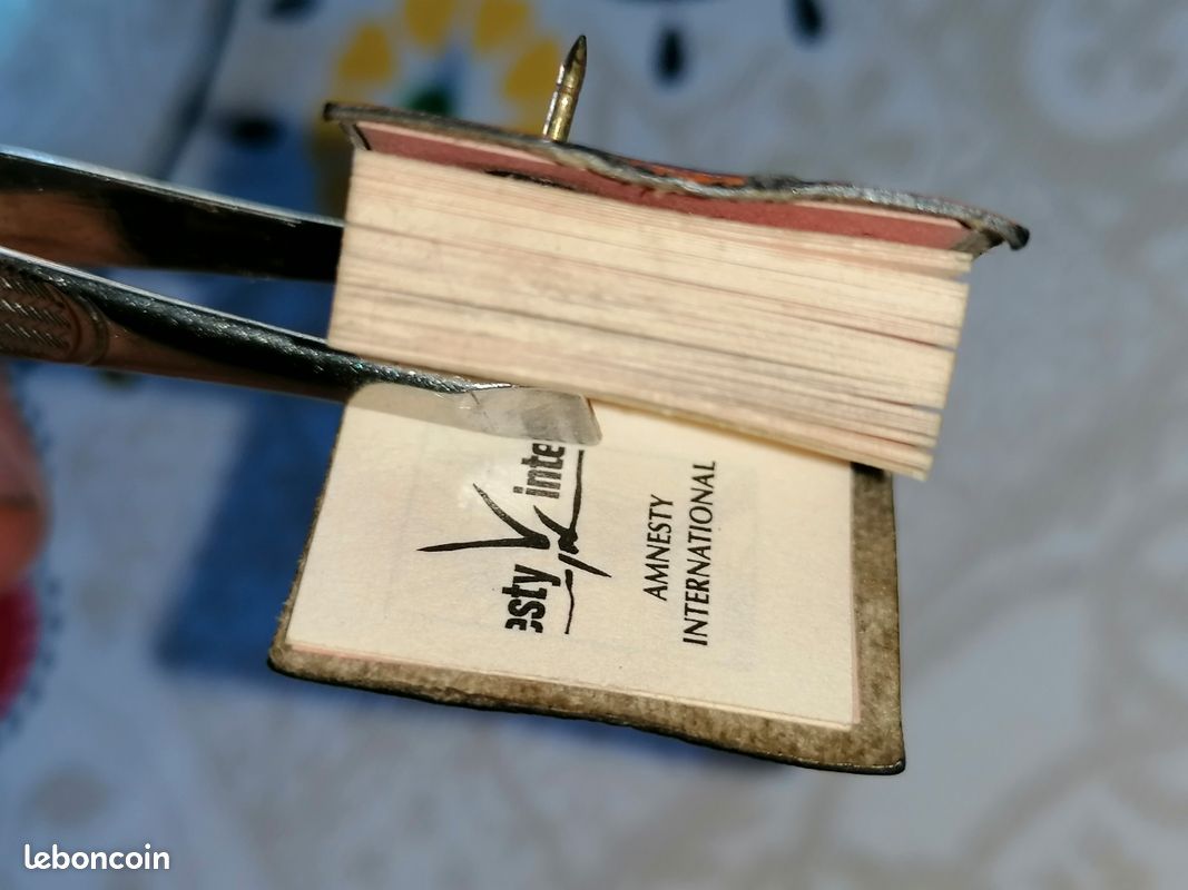 Pin's livre des droits de l'homme (image 9)