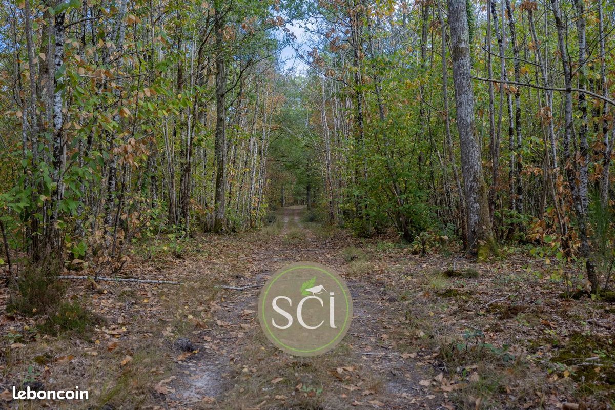 Terrain Clémont · 151 200 €