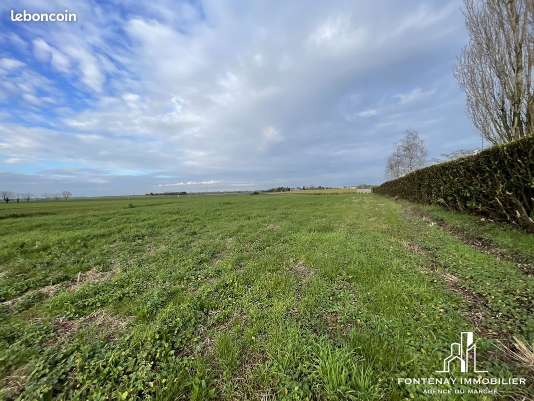 Terrain 1919 m² · à Longèves · 1 919 m² · 55 000 €