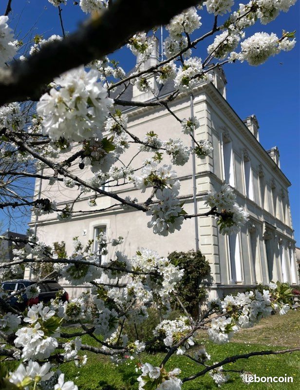 Maison 9 pièces 300 m² · à Châtellerault · 300 m² · 699 000 €