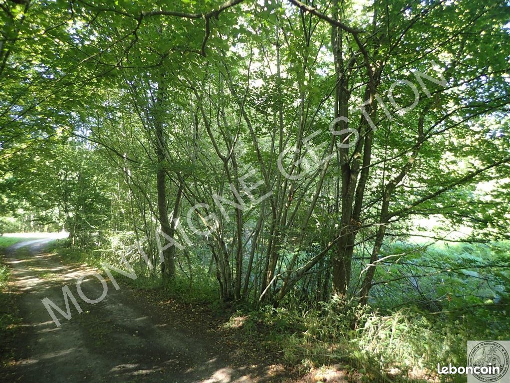 Terrain 2137 m² · à Saint-Jean-aux-Bois · 2 137 m² · 371 000 €