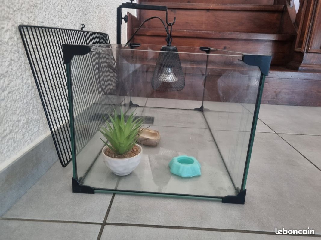 Terrarium avec lampe uv neuve (image 1)