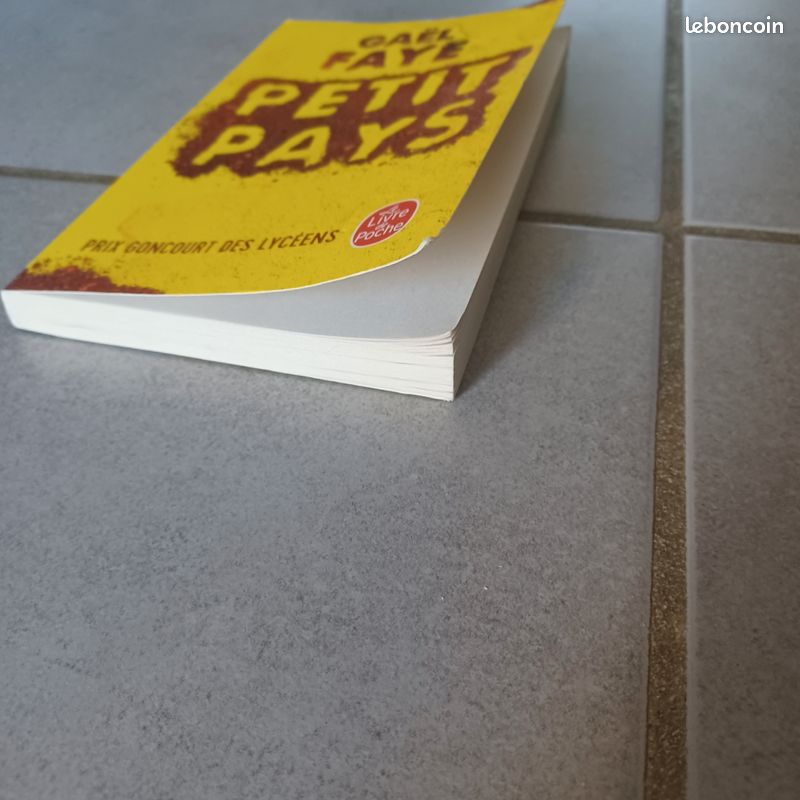 Petit pays de Gaël Faye (image 2)