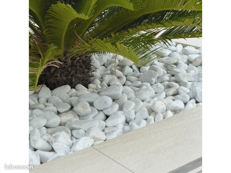 🌸 Promo Galet Décoratif Extérieur Carré Blanc Jardin Plantes