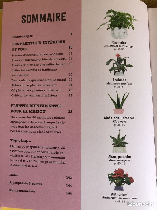 Vos plantes d'intérieur vous veulent du bien (image 2)