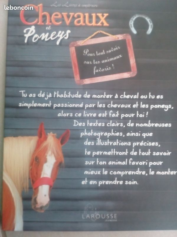 Chevaux et poneys (image 2)