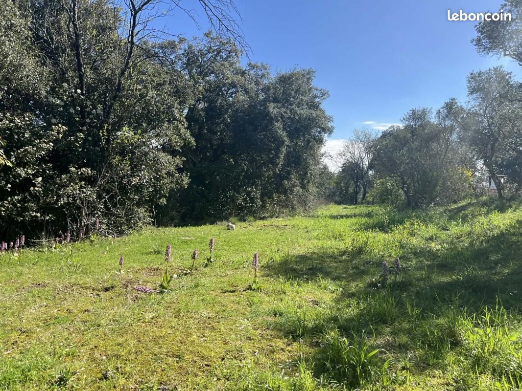 Terrain 800 m² Saint Maximin La Sainte Baume · à Saint-Maximin-la-Sainte-Baume · 169 000 €