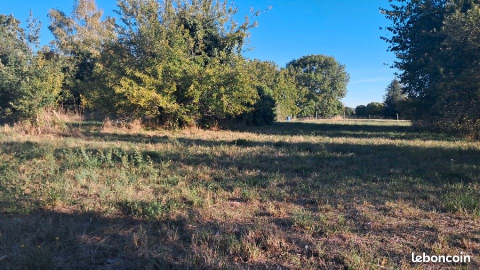 Terrain 1129 m² · à Ozillac · 22 000 €