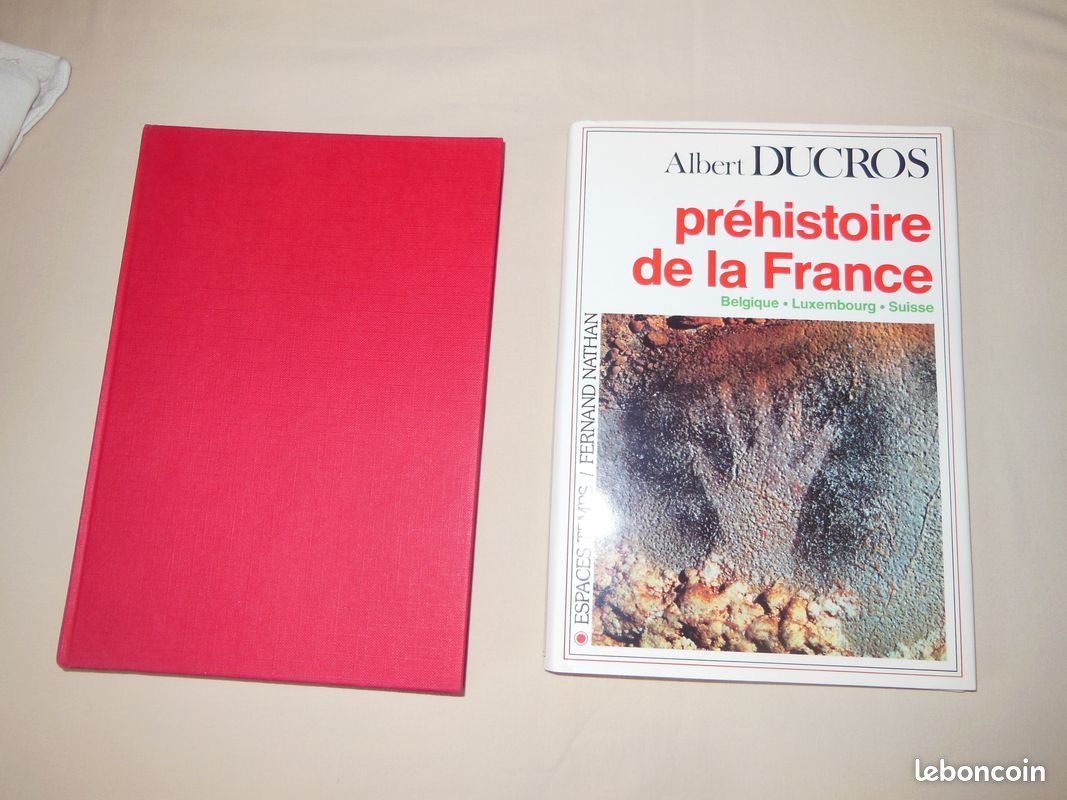 Livre d'Albert DUCROS "préhistoire de la France " (image 1)