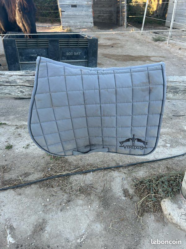 Tapis Veredus (image 1)