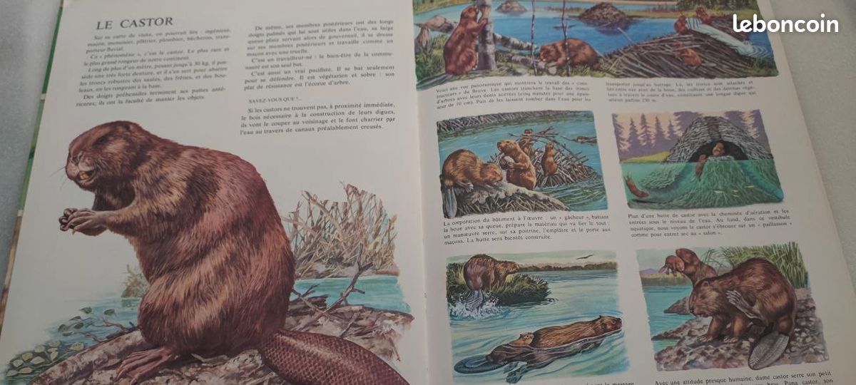 d.d'ami-rinaldo : tous les articles d'occasion, rares et de collection - le