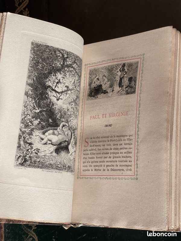 Paul et Virginie, Saint-Pierre, 1879, ill., SUPERBE RELIURE (image 8)