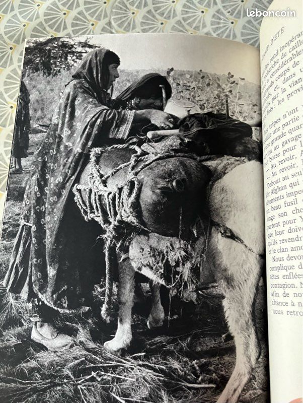 Livre LES SEIGNEURS D ARYANA (image 6)