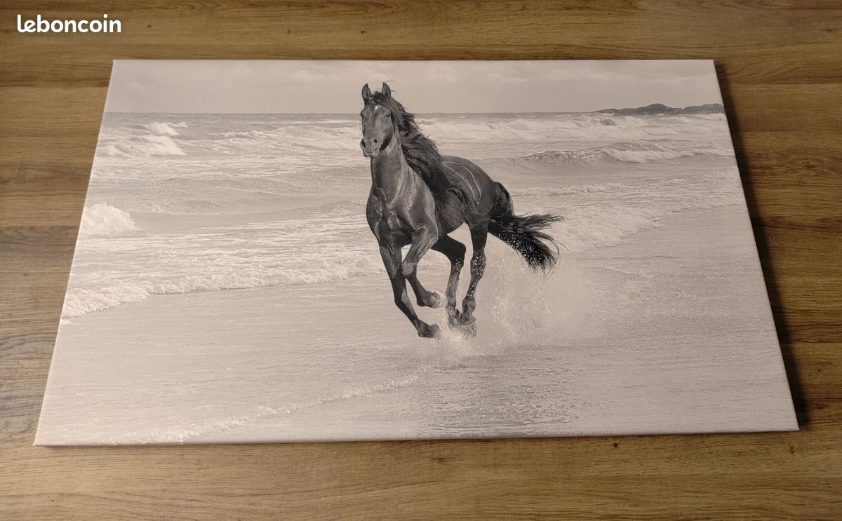 Tableau Cheval Impression sur toile Excellent état (image 1)