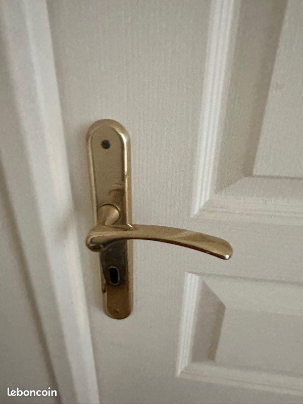 Poignées de Porte Dorée Inox (image 5)