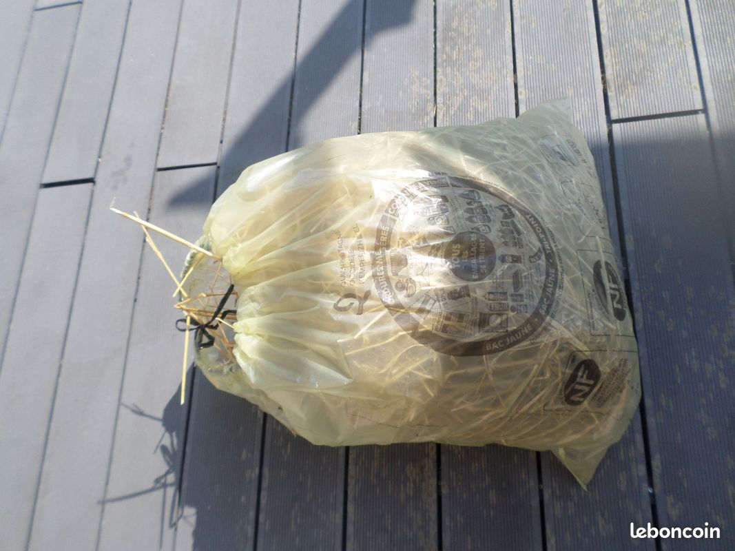 Tour De Magie Apparaissant – Grande Paille De 1,2 M Sortant D'un Sac En Papier, Débutant