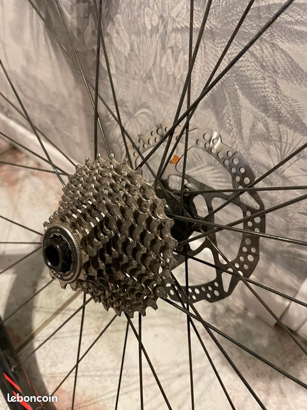Roue vélo route Rodi 29 pouces (image 4)