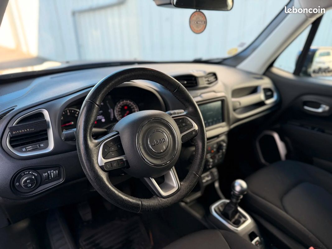 JEEP RENEGADE MY20 1.6 l MultiJet 120 ch BVM6 Quicksilver Winter Edition (image 9)