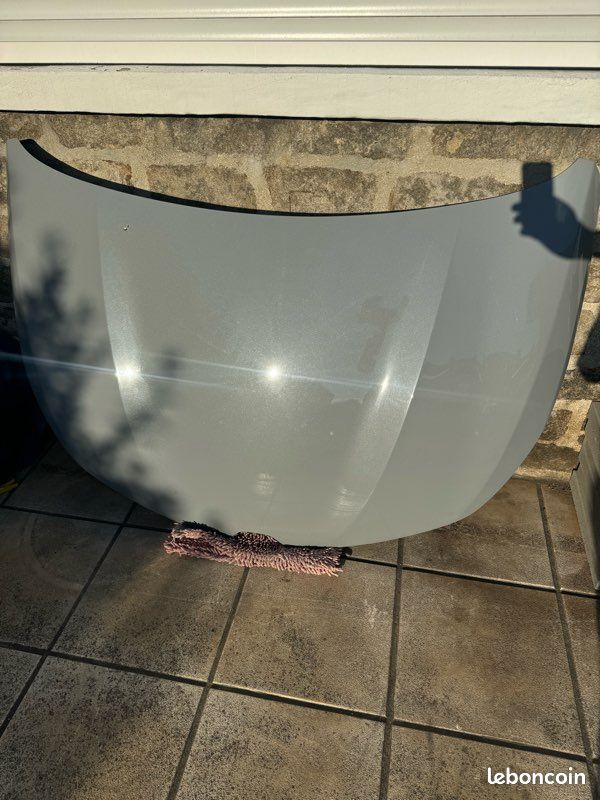 Clio 5 capot (image 1)
