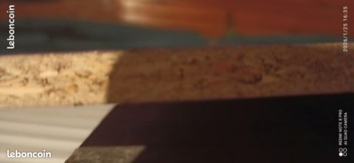 Grande planche de 1,70 sur 99,5 ,en contreplaqué décorée (image 2)