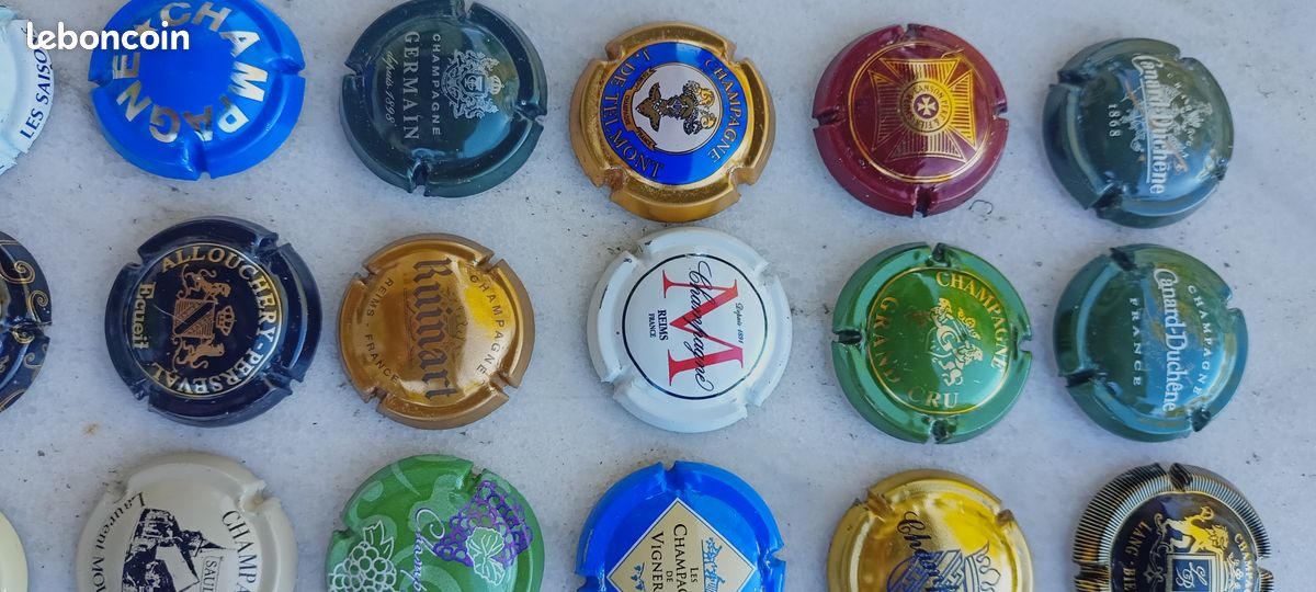 75 capsules pour Placomusophile différentes (image 7)