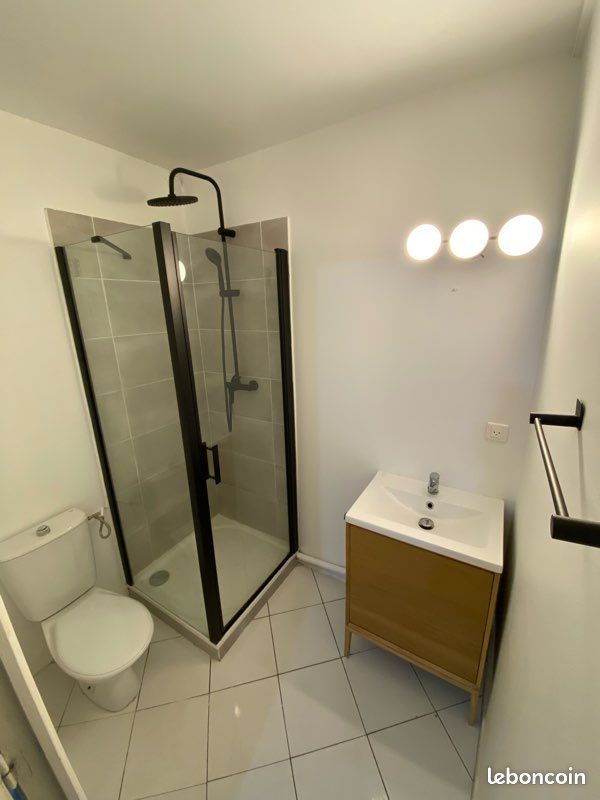 Vends appartement pont des demoiselles (image 2)