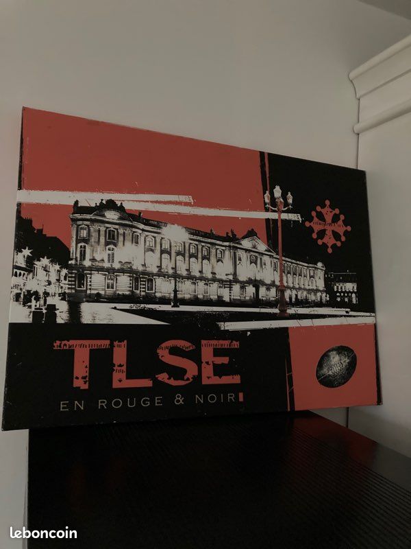 Photo du stade toulousain (image 2)