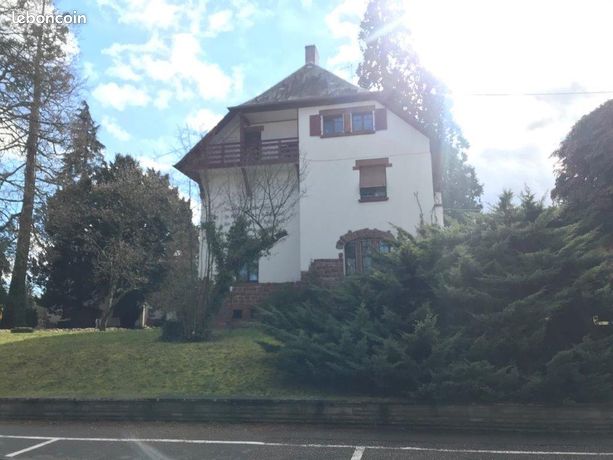 Appartement à louer 4 PP