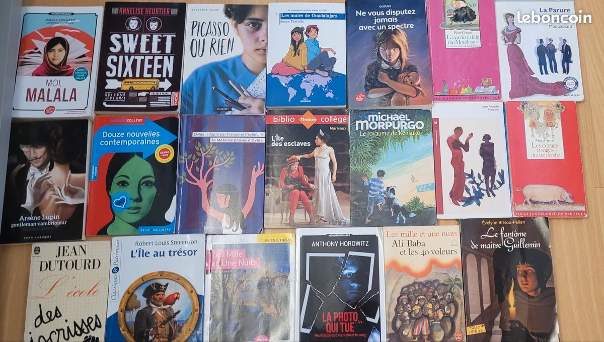 Livres enfant et ado (image 16)