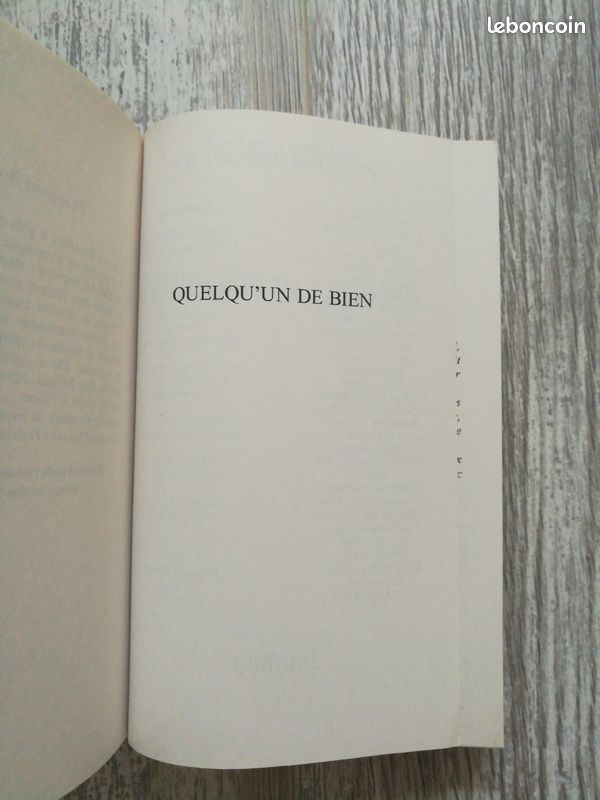 Livre roman Quelqu'un de bien de Françoise Bourdin (image 11)