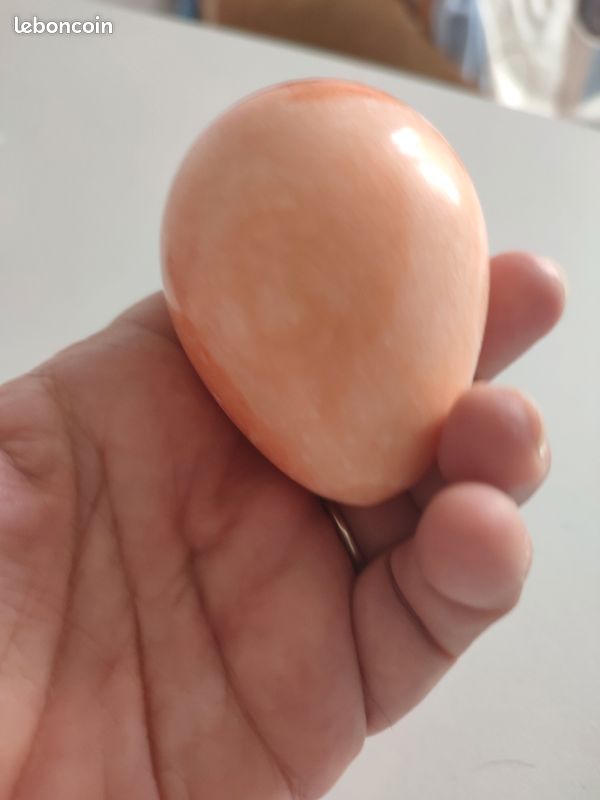 Oeuf à repriser (image 4)