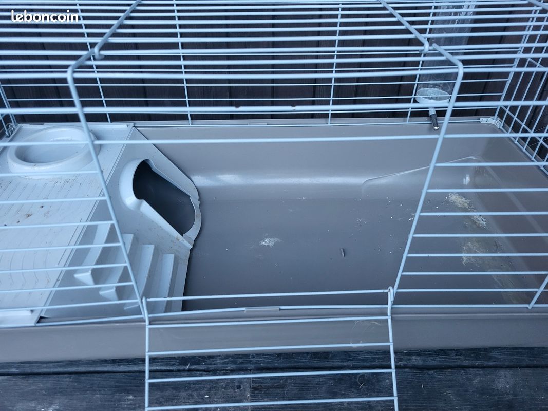 Grande cage cochon d'inde quasi neuve (image 3)
