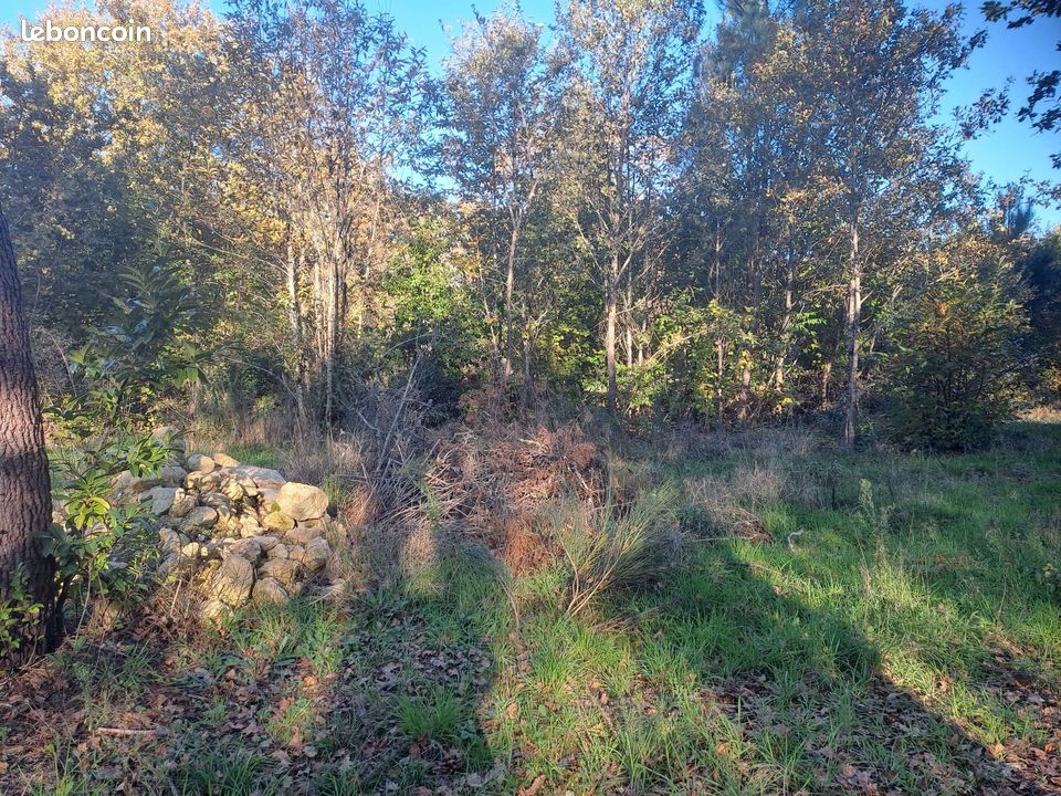 Terrain Saint Sauveur (image 3)