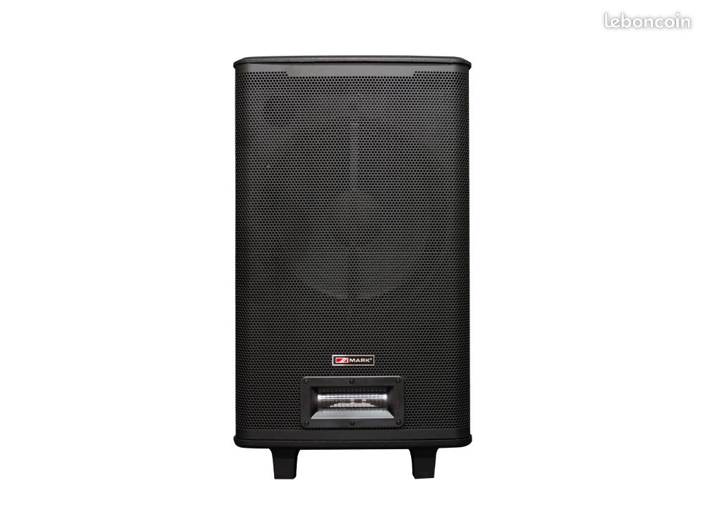 Enceinte portable profesionelle avec micro set combo 1000 bat mkii pro mark (image 4)