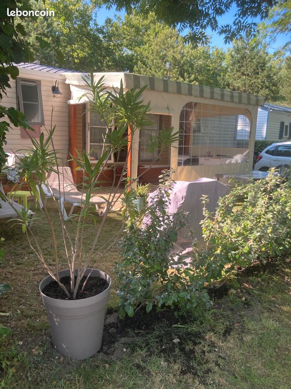 Location mobile home (image 1)