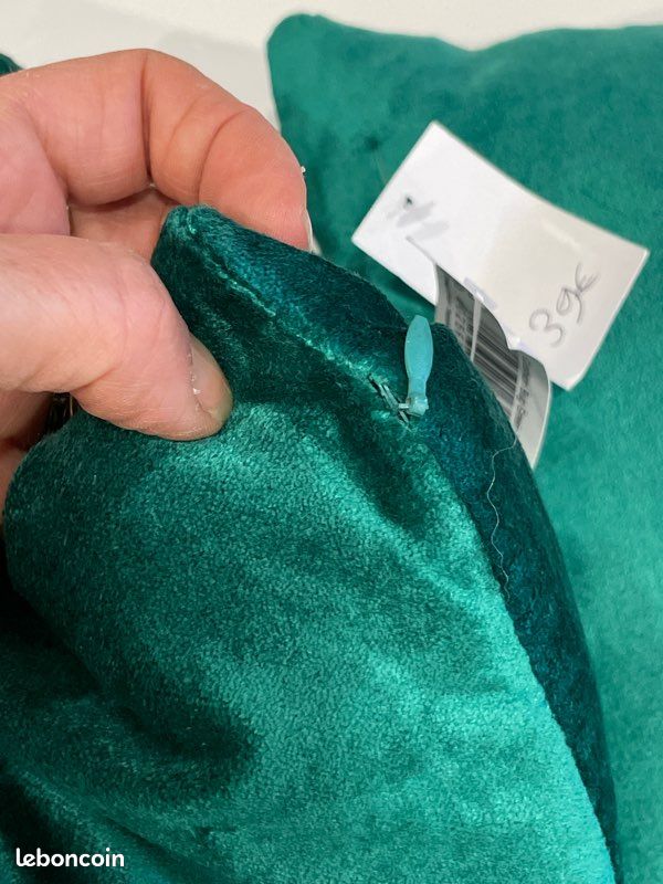 Lot de 2 coussins scarabée dorée (image 4)