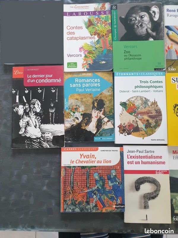 Lot 13 livres divers (image 2)