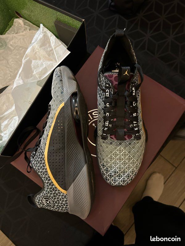 Jordan air zoom renegade psg Chaussures