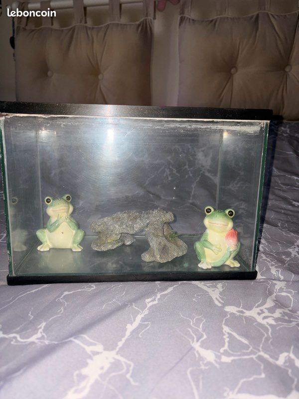 Petit aquarium (image 1)