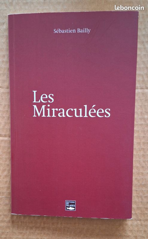 Les Miraculées roman de Sébastien Bailly (image 1)